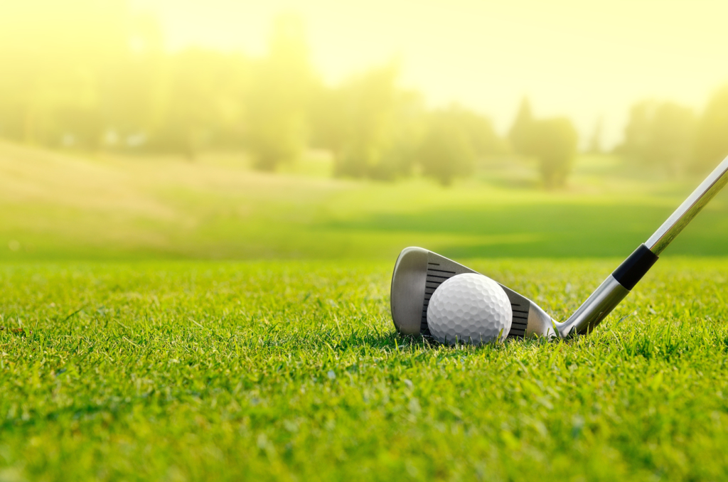 smyrna insurance