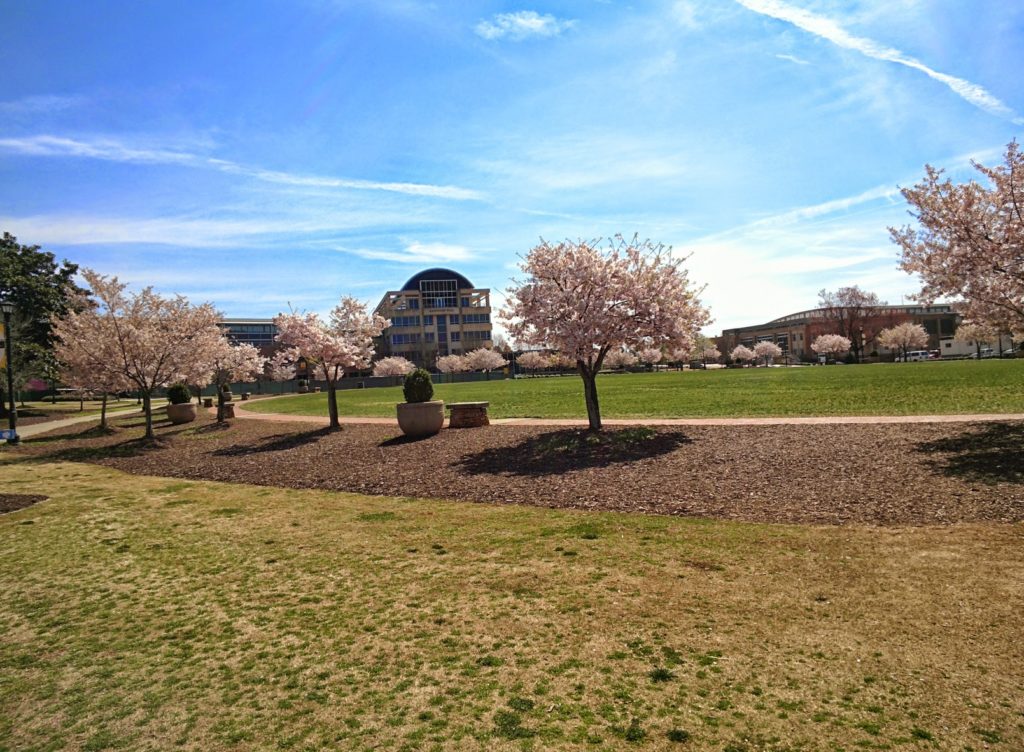 homeowners insurance in Kennesaw